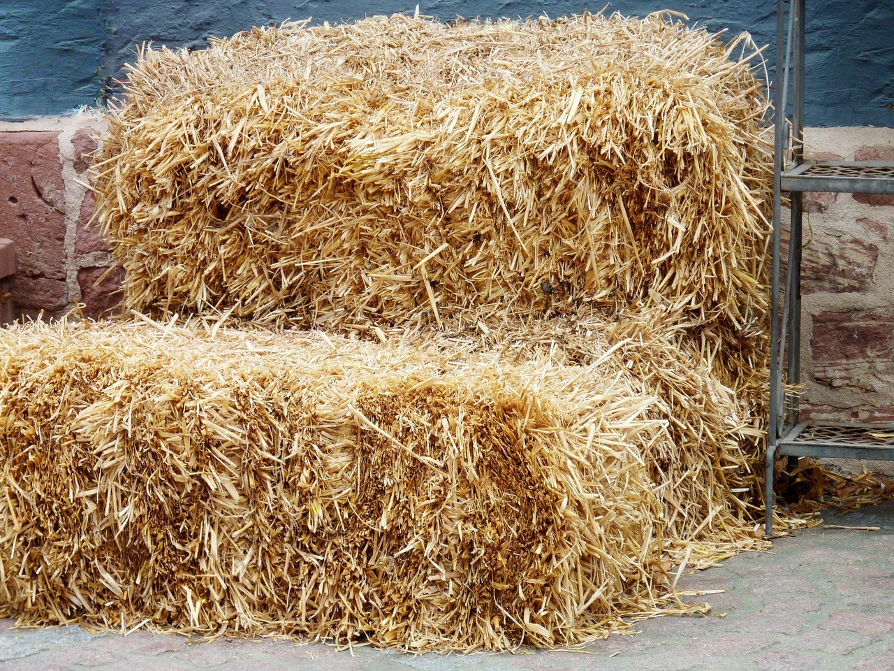 Best Grass For Hay In Kenya